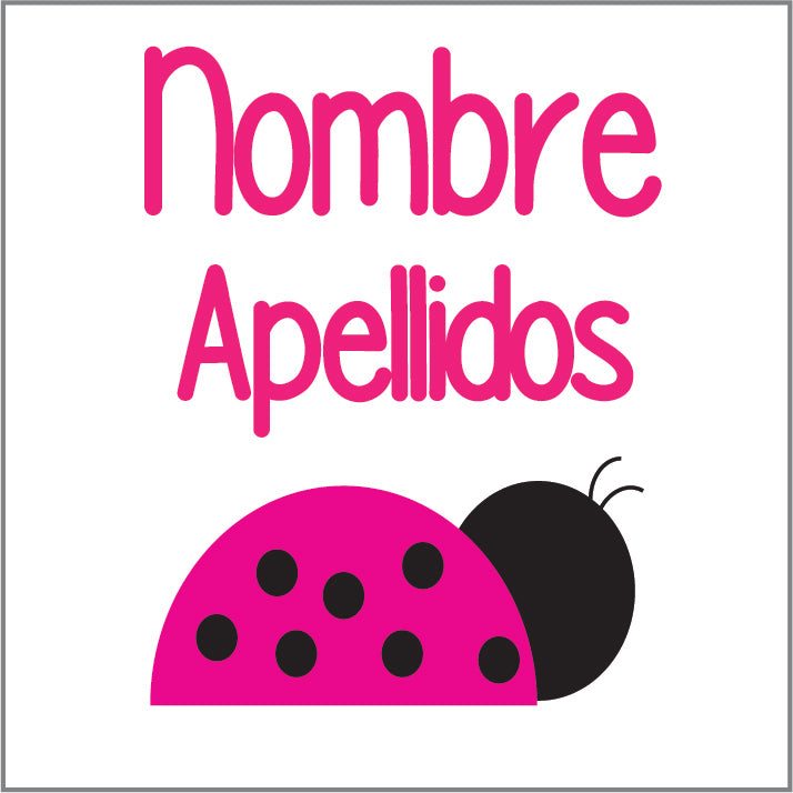 Paquete todo incluido